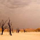 Im Dead Vlei / 2006