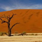 im Dead Vlei - Farbe