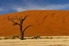 im Dead Vlei - Farbe