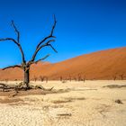 Im Deadvlei