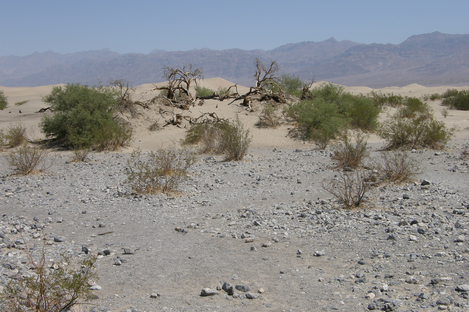 im Death Valley