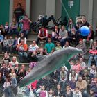 Im Delfinarium des Duisburger Zoos