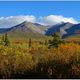 Im Denali National Park