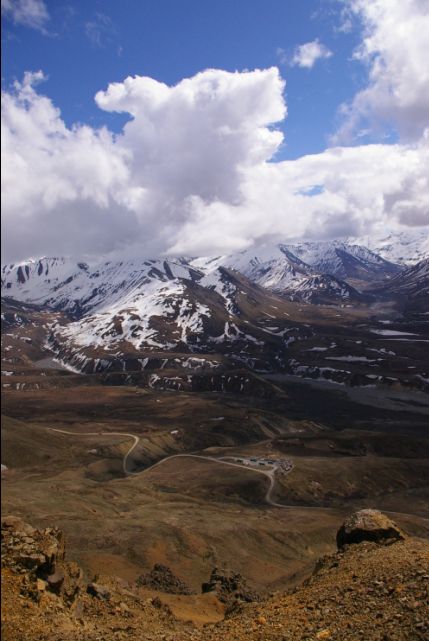 im Denali-Nationalpark (Alaska)