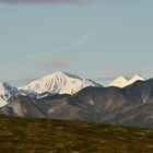 im Denali NP in Alaska