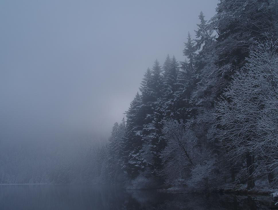 im Dezember am Arbersee