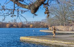 im Dezember am Maschsee I - Hannover