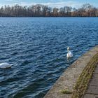 im Dezember am Maschsee III - Hannover