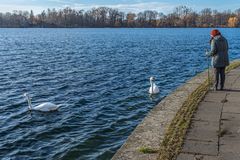 im Dezember am Maschsee III - Hannover