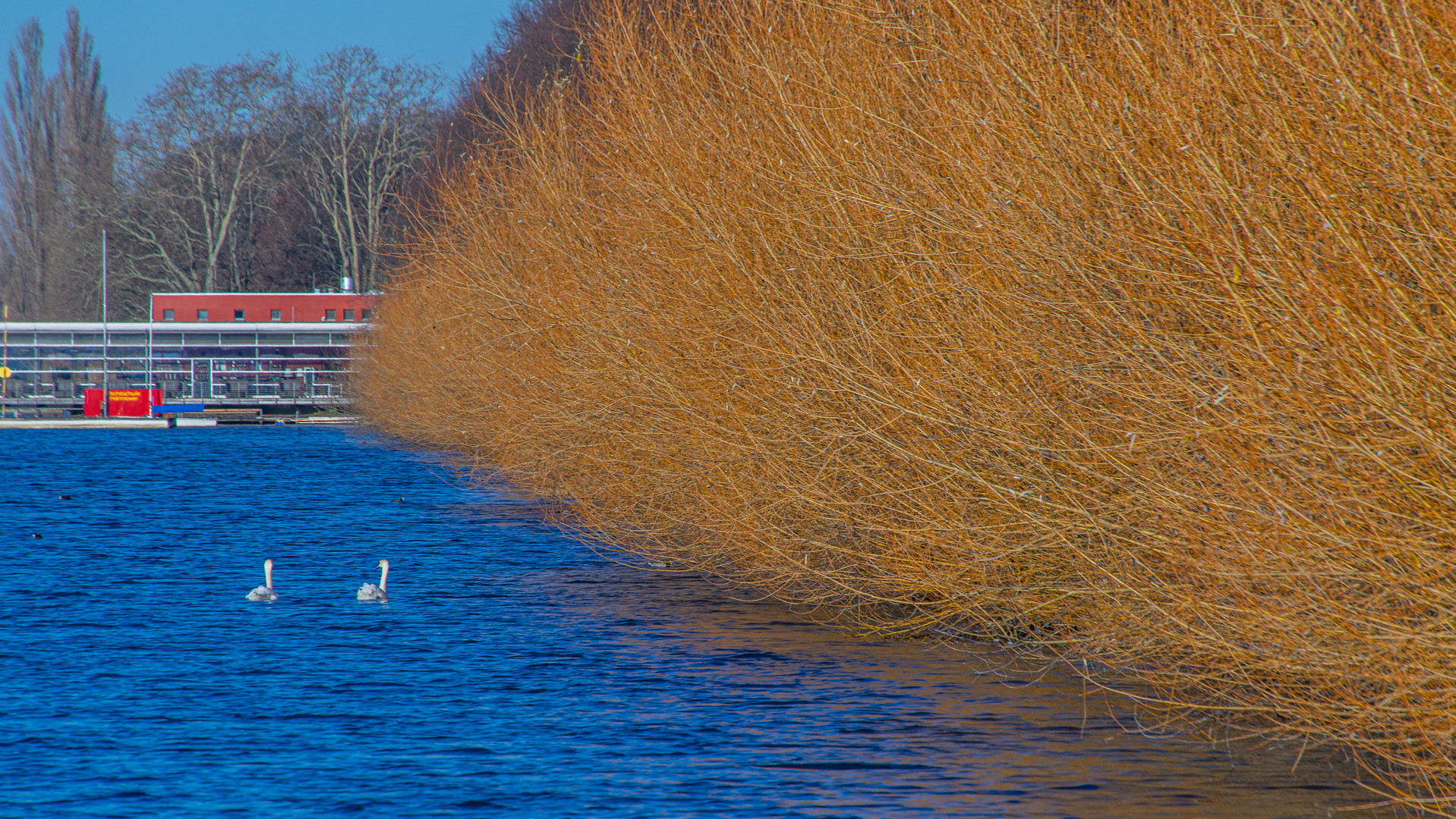 im Dezember am Maschsee IV - Hannover