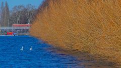 im Dezember am Maschsee IV - Hannover