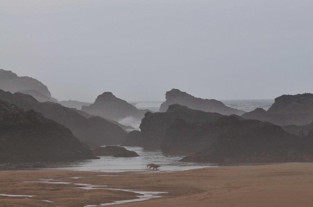 Im Dezember auf Belle Ile, Bretagne