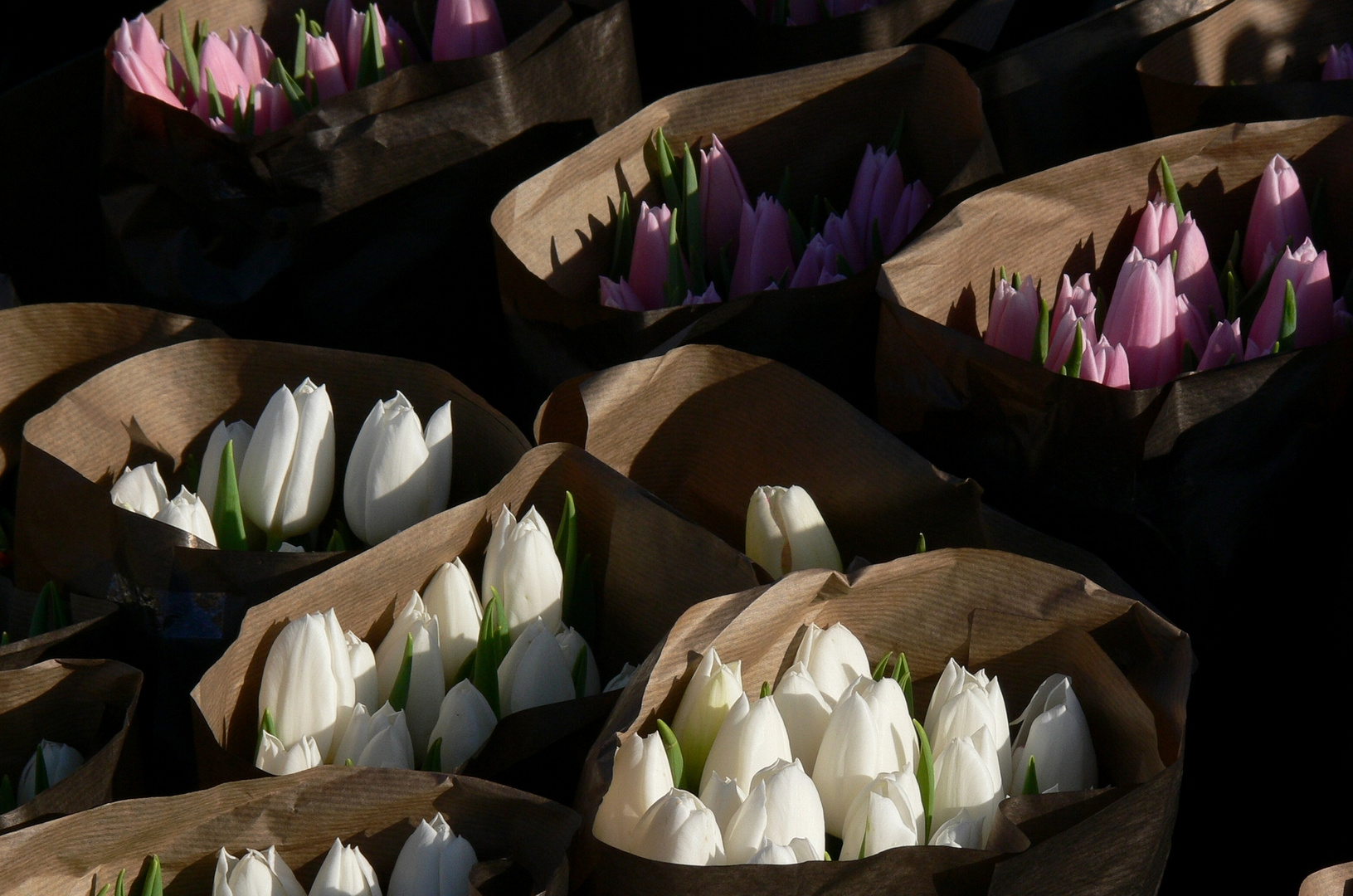 im Dezember schon auf den Frühling warten?