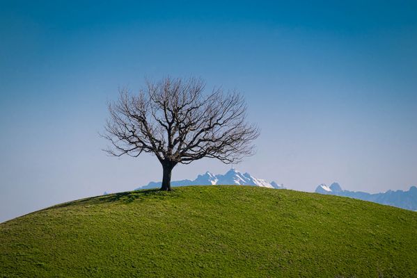 Im Dialog mit den Bergen