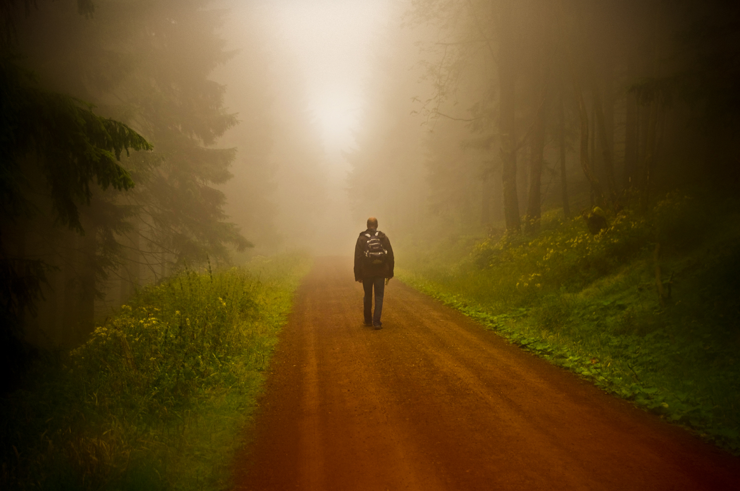 Im dichten Nebel