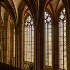 Im Dom zu Meißen