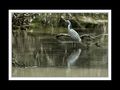 Nord Dobrudscha / Dobrogea