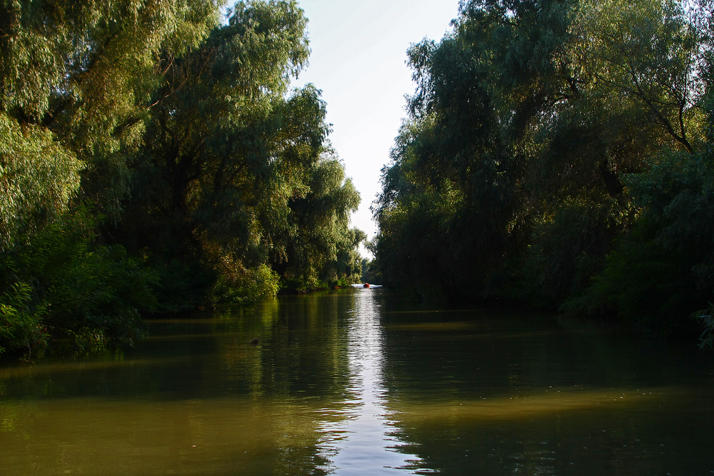 Im Donaudelta