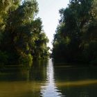 Im Donaudelta