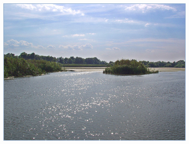 Im Donaudelta bei Tulcea (2)