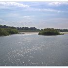 Im Donaudelta bei Tulcea (2)