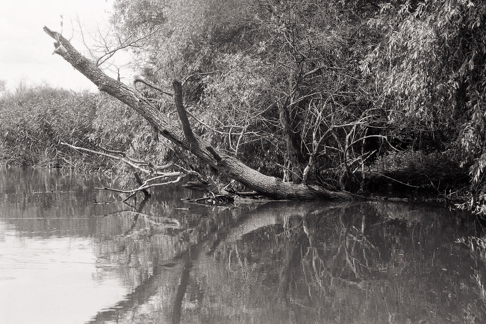 Im Donaudelta