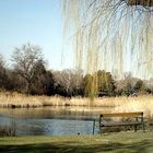 Im Donaupark (Wien im März 2004)