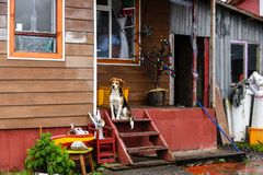 Im Dorf Puerto Eden                             DSC_6006-2