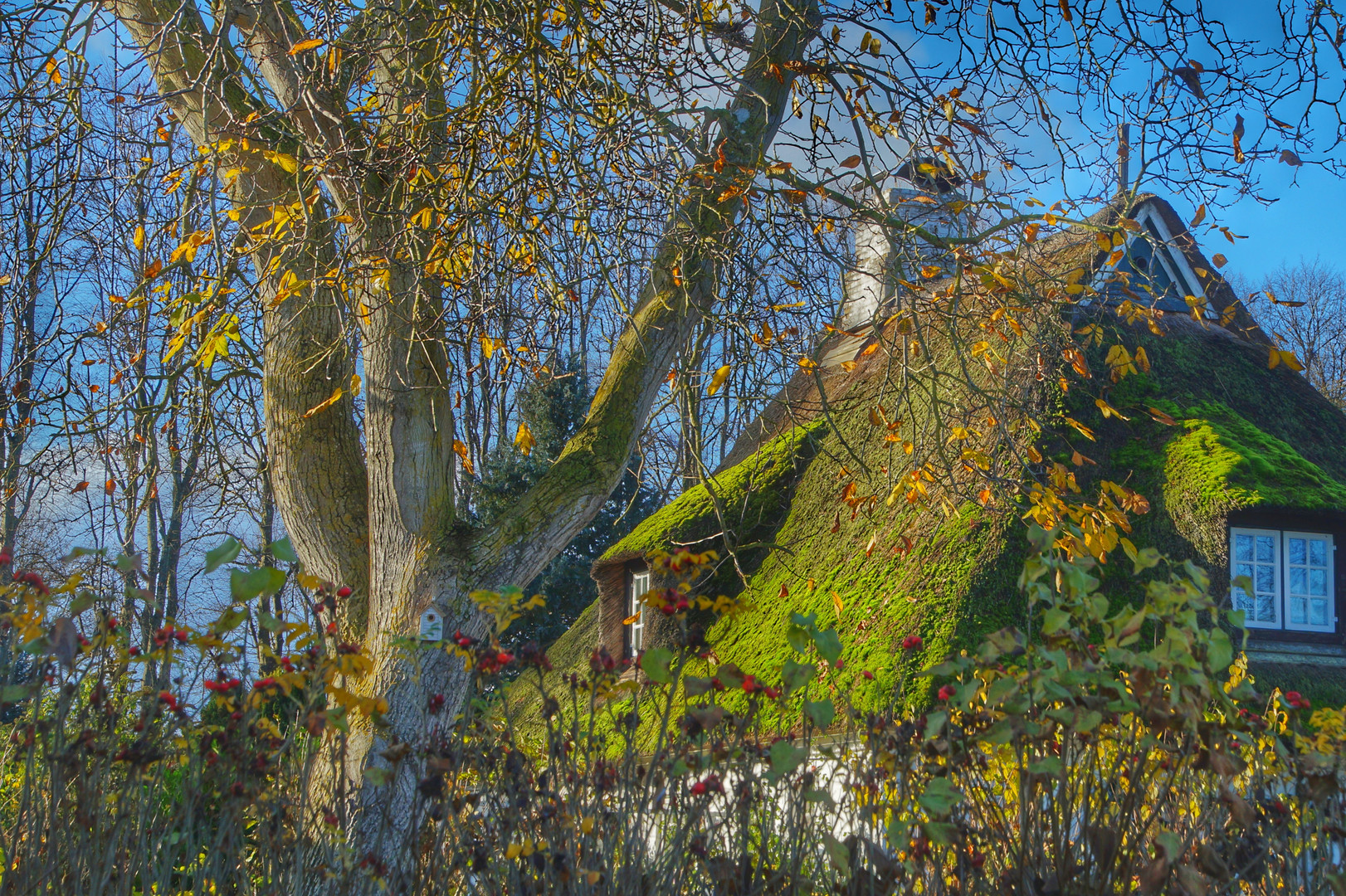 Im Dorf Sieseby an der Schlei