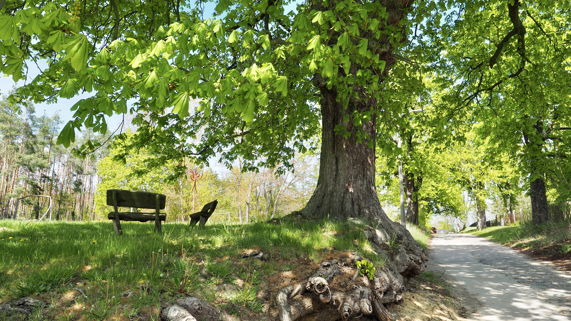 Im Dorf unter der Kastanie