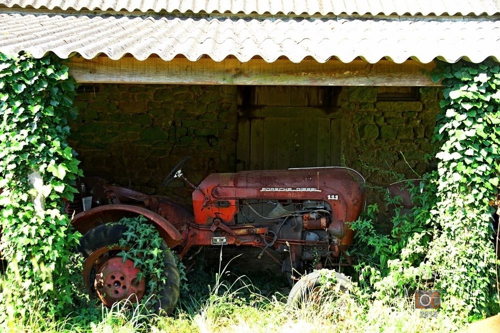 Im Dornröschen-Schlaf