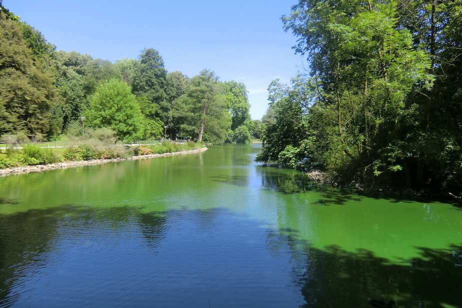 Im Dortmunder Rombergpark