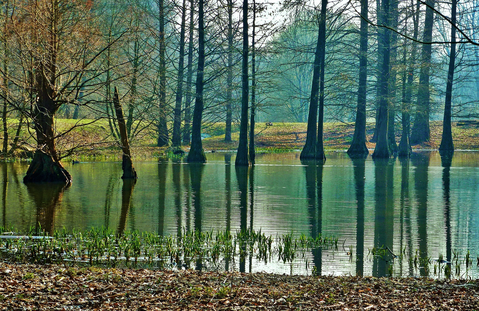 Im Dortmunder Rombergpark