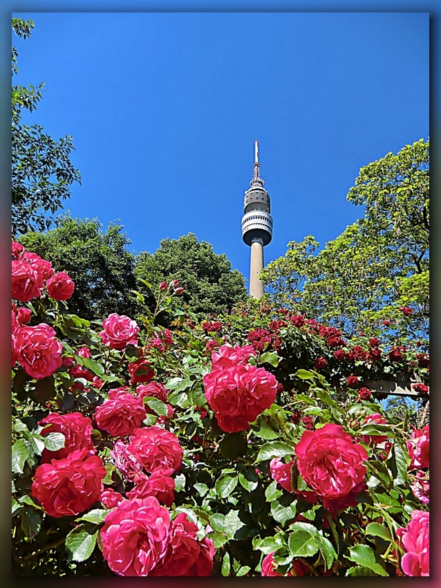 Im Dortmunder Westfalenpark