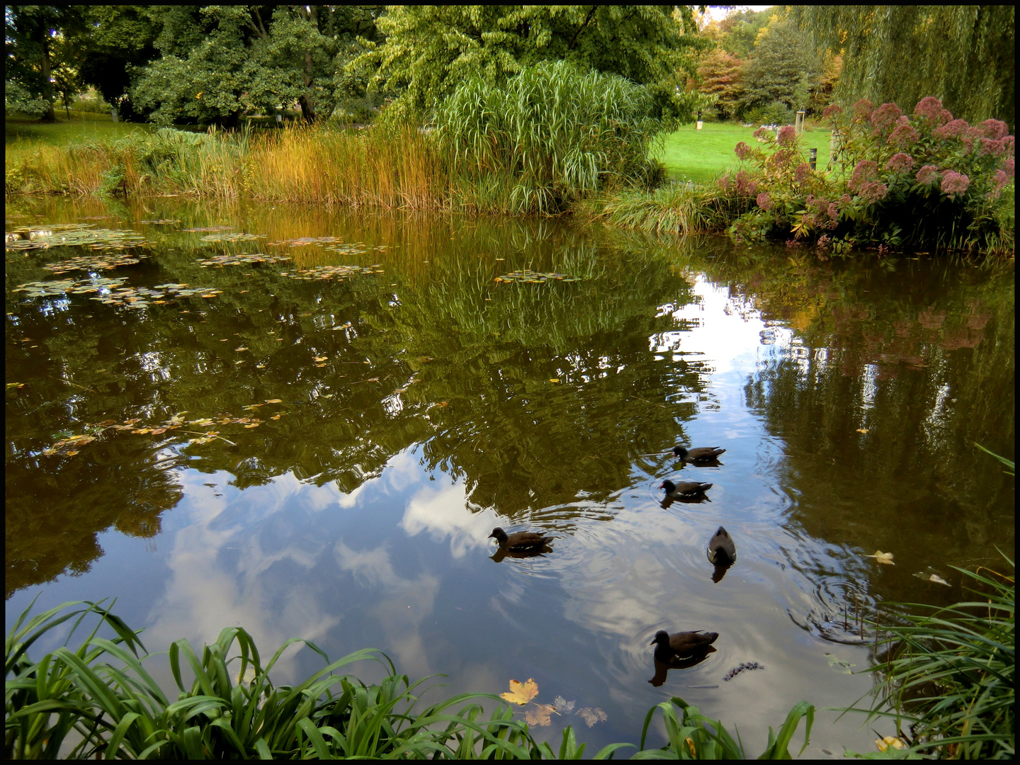 Im Dortmunder Westfalenpark