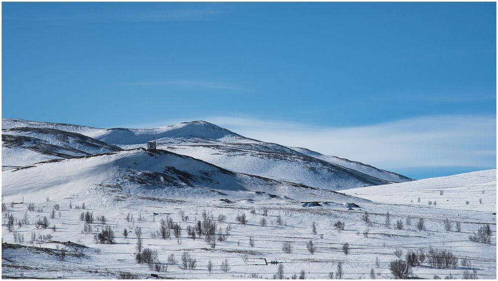 Im Dovre Fjell