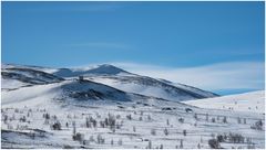 Im Dovre Fjell