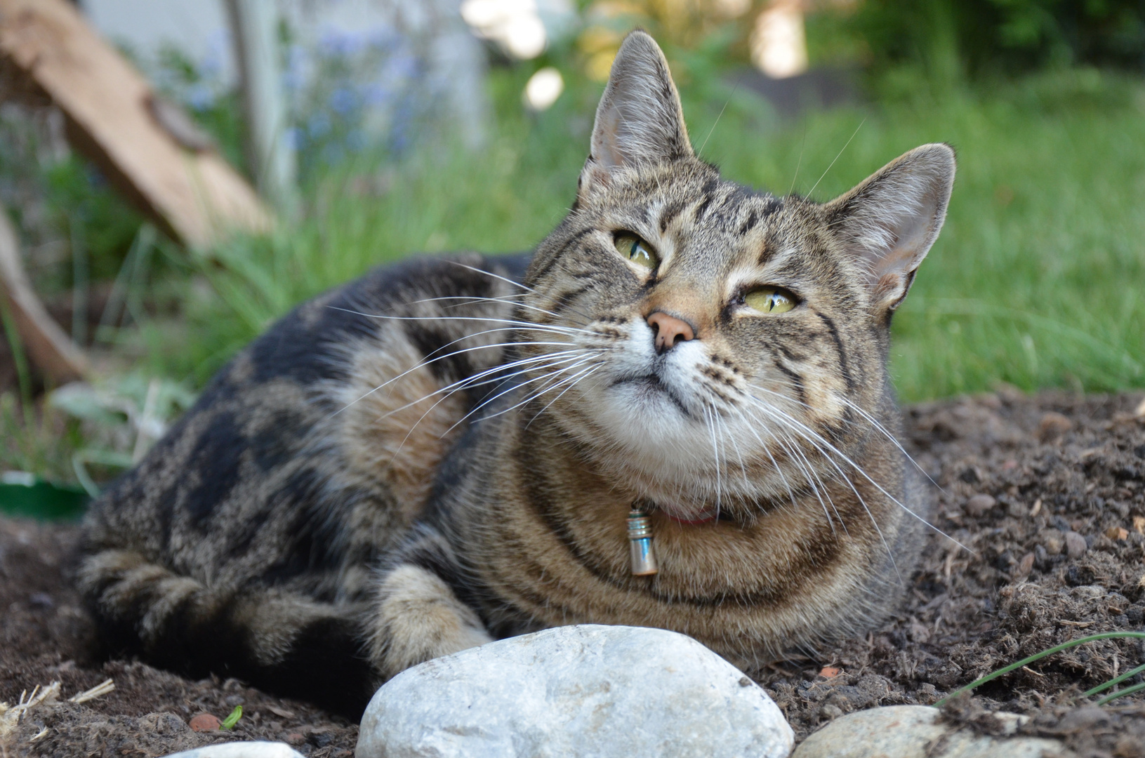 Im Dreck sitzen und herumschauen