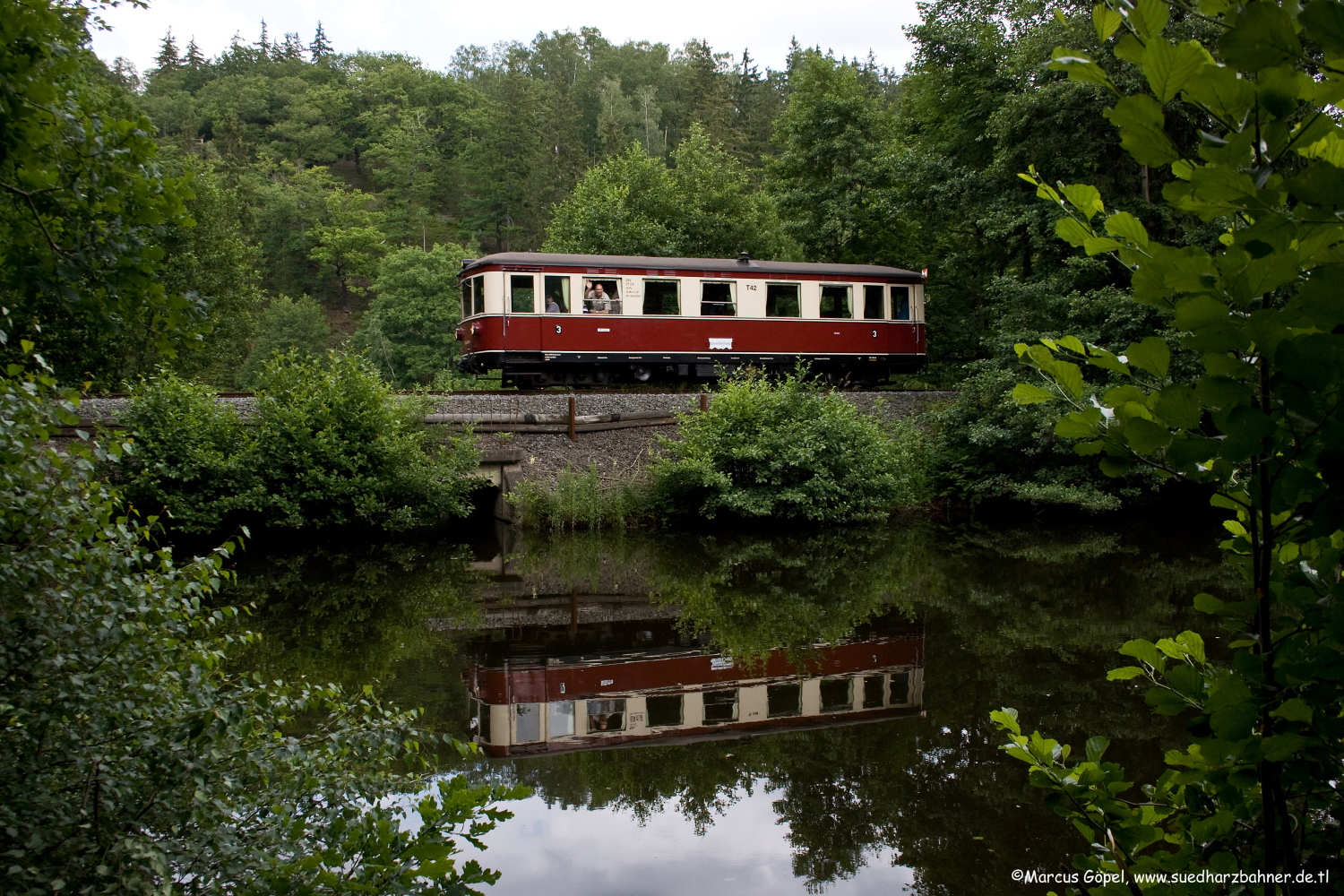 Im Dschungel am Heiligen Teich Foto & Bild schmalspur, eisenbahn