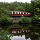 Im Dschungel am Heiligen Teich ...