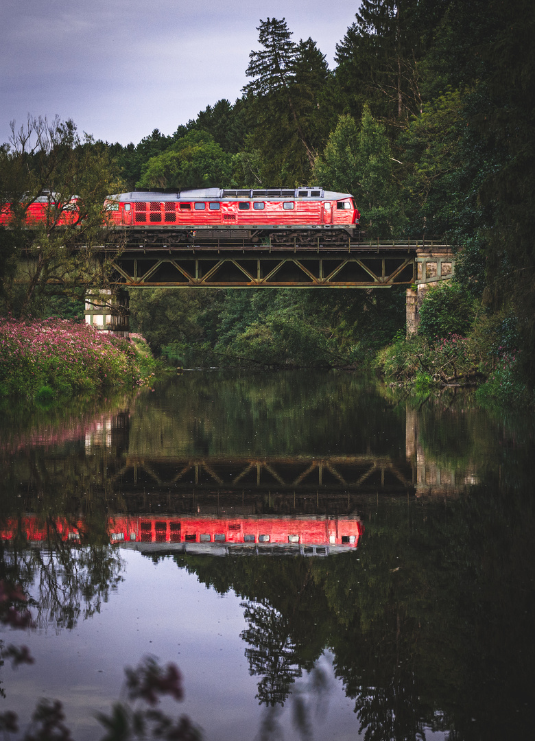 Im Dschungel der Bahn