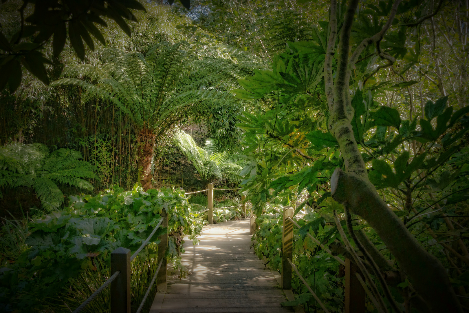 Im Dschungel in den lost gardens of Heligan