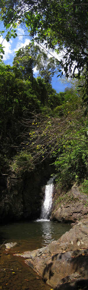 Im Dschungel versteckter Wasserfall by Angie K. 