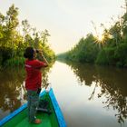 Im Dschungel von Borneo