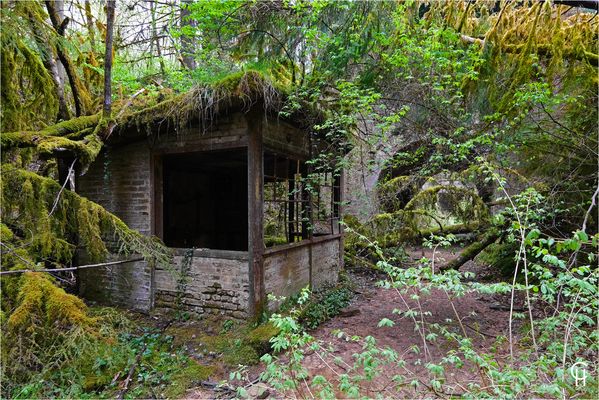 Im Dschungel von Luxemburg