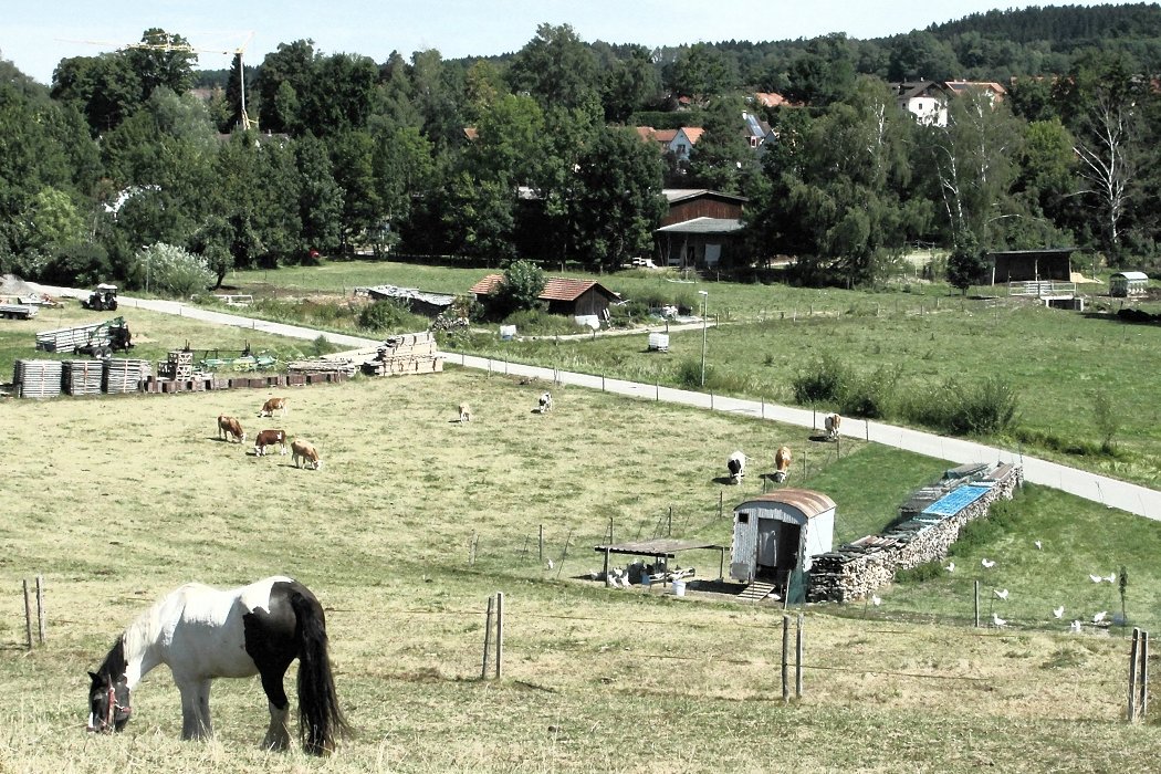 Im Dürren weiden