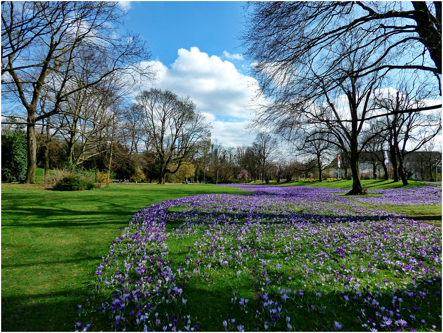 Im Düsseldorfer Hofgarten 