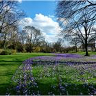 Im Düsseldorfer Hofgarten 