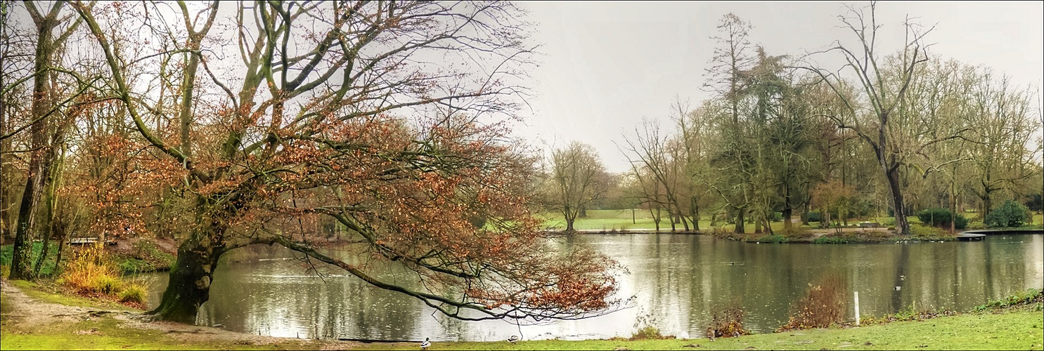 Im Düsseldorfer Volksgarten ...