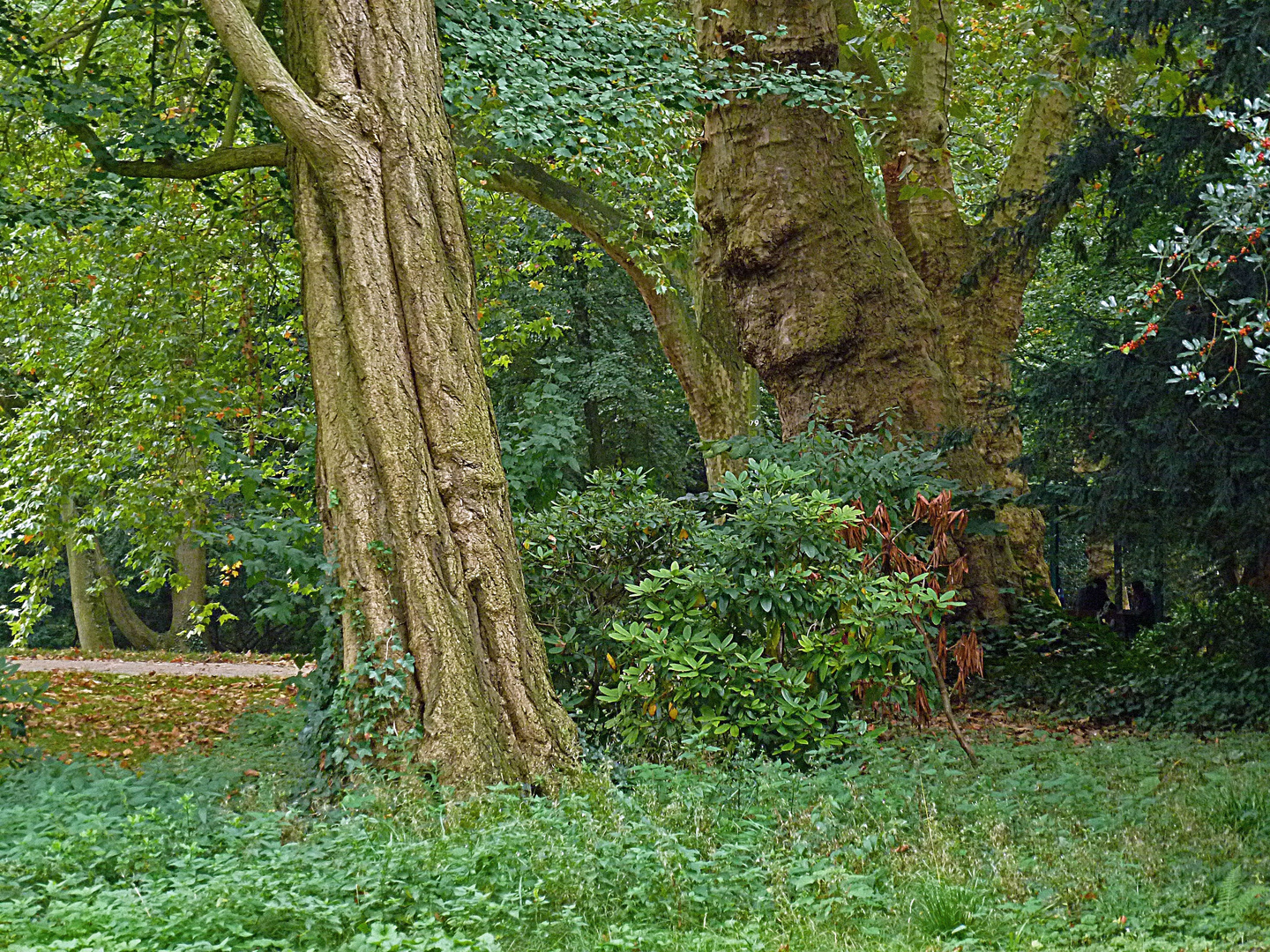 Im Düsseldorfer Volksgarten